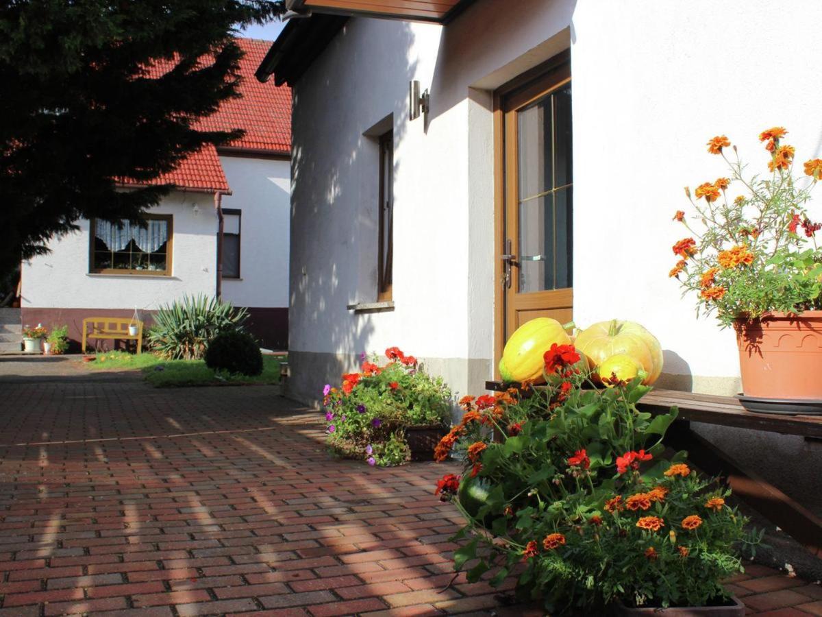 Ferienhaus Christine Schenkendobern Kültér fotó